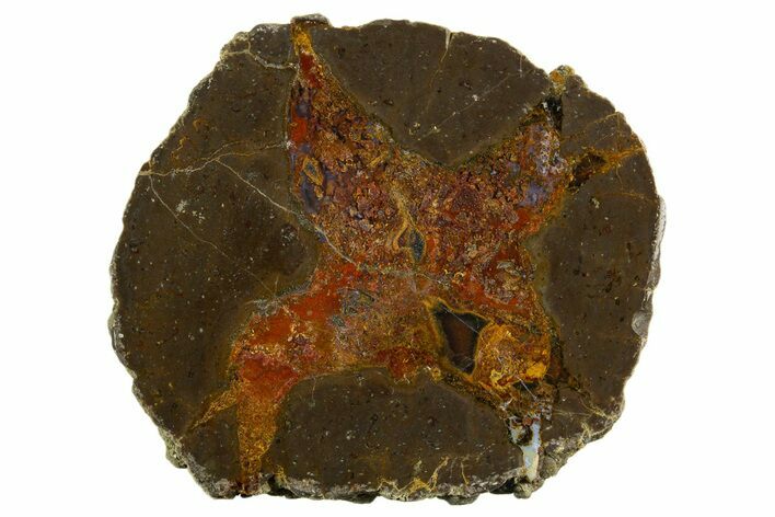 Colorful Polished Thunderegg Half - Nevada #337815